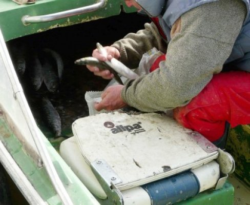 Aproape 2 tone de peşte confiscate în Delta Dunării